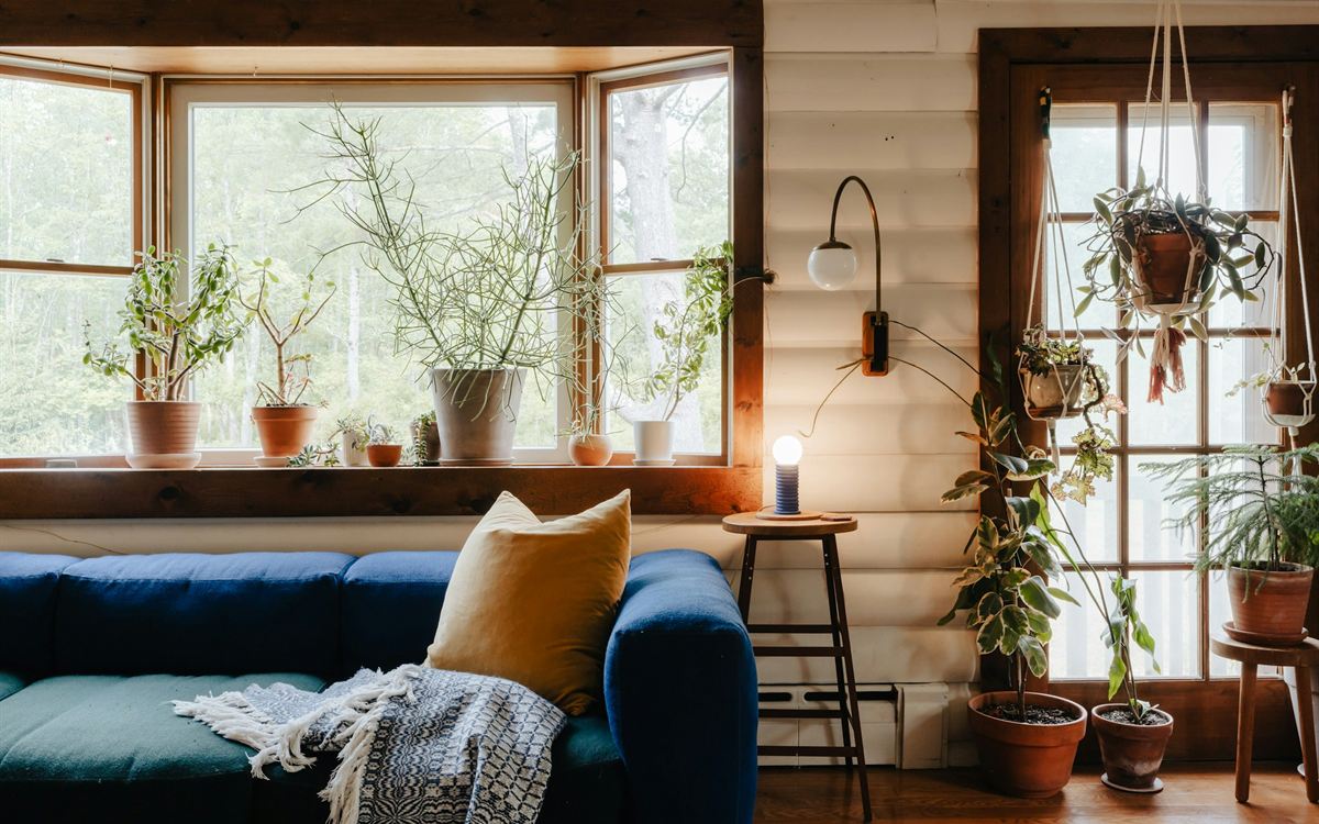 A calm, contemporary home interior
